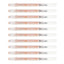 10pcs Sakura Gelly Roll 1.0mm Stardust Colour Pen | Copper Star