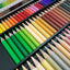STABILO Swans ARTY Colored Pencil - 100 Colours