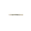 Pilot DR Calligraphy Lettering Chisel Nib Pen - 1.0mm