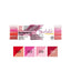 Kuretake Memory System Brushable Pen | Red Set