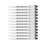 12pcs Zig Kuretake Calligraphy Pen Oblique Tip | 1.0mm