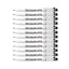 12pcs Zig Kuretake Calligraphy Pen Oblique Tip | 2.0mm