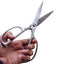 Kitchen Shears Scissors - Stainless Steel & Detachable 